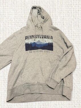 State of Mine Pennsylvania “The Keystone State” pullover hoodie in heather gray